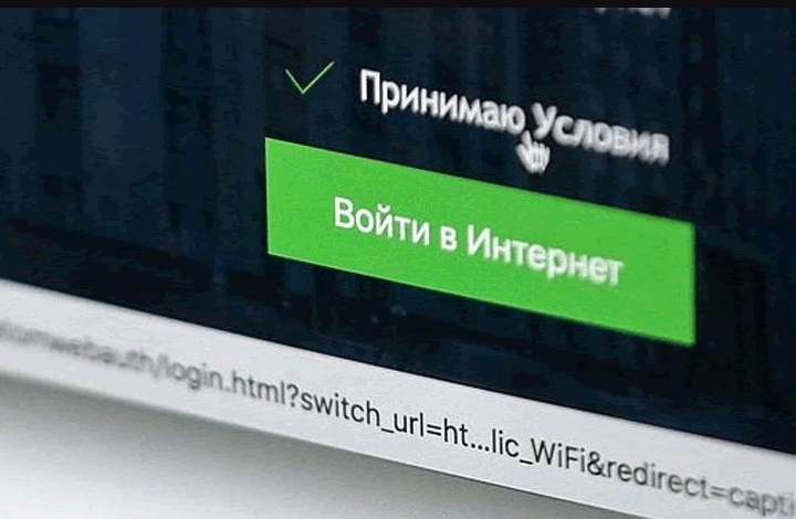 Названа угроза от новой системы учета пользователей Рунета