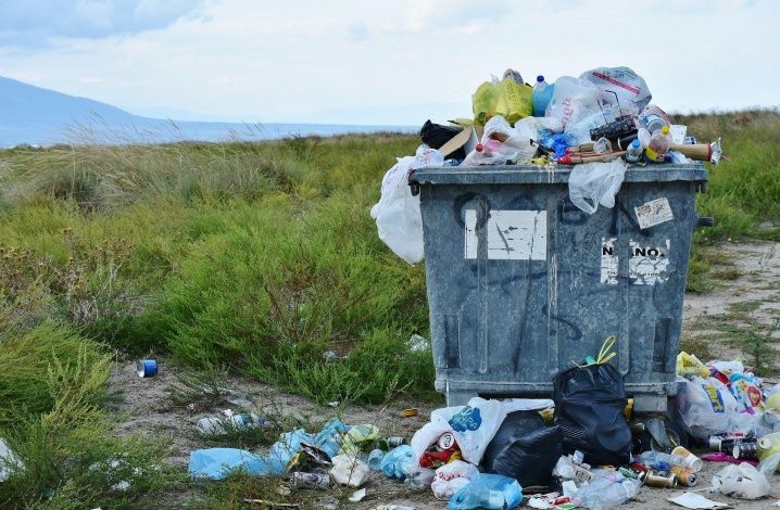 Счетная палата оценила ситуацию с переработкой мусора в России