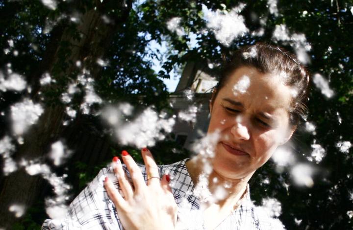 Аллерголог: в этом году в России высокая концентрация пыльцы