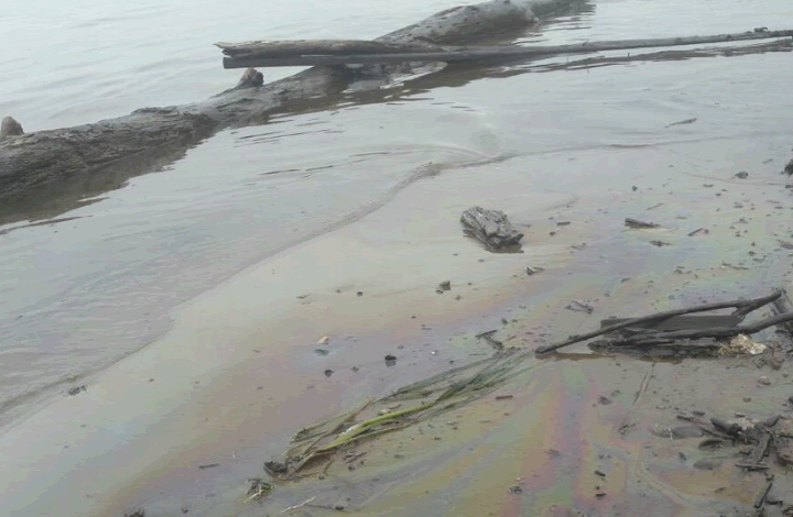 В Амурской протоке обнаружен разлив нефтепродуктов