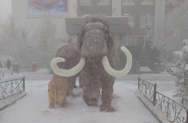 В Якутии проведут конкурс на проект здания для Всемирного центра мамонта