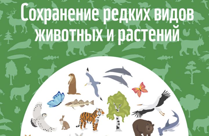 К интерактивному уроку WWF «Сохранение редких видов» присоединились более 3 тысяч учителей