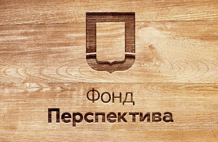 Отчет о деятельности Фонда «Перспектива» будет представлен Президенту РФ