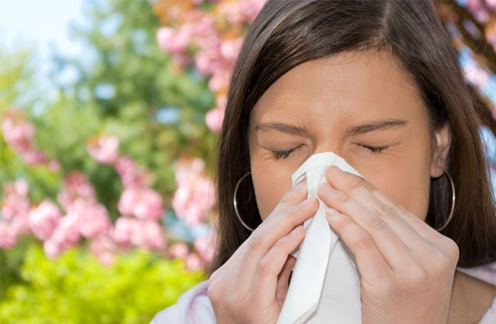 Эксперт: нет аллергена – нет аллергии