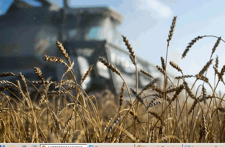 РСХБ назвал сферы продукции АПК с наибольшим вкладом фермеров и наибольшей рентабельностью