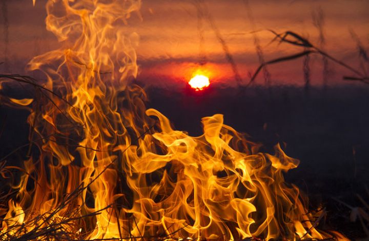 В российских регионах начинается сезон пожаров
