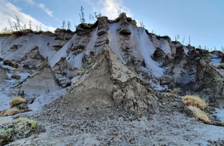 Якутские ученые опробовали уникальный метод георадиолокации для поиска мамонтовой кости