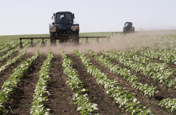 Россельхозбанк научит запускать и вести рентабельный и устойчивый фермерский бизнес
