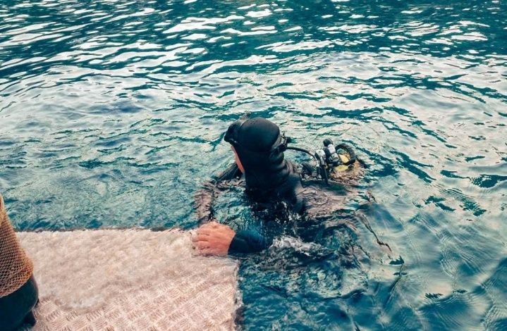 Судно, затонувшее у мыса Фиолент в Севастополе, отбуксировано к берегу силами МЧС России