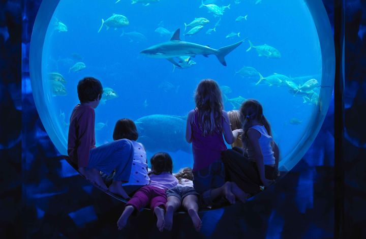 Atlantis, The Palm - лучший отель для отдыха с детьми