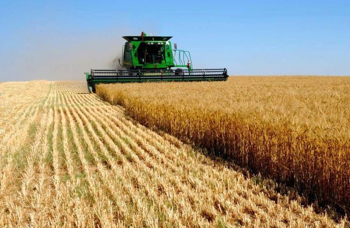РСХБ Факторинг рассказал об инновационных финансовых инструментах для сельскохозяйственных производителей