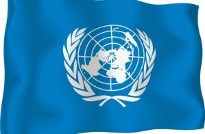 Члены ООН начинают задавать вопросы Западу об Украине