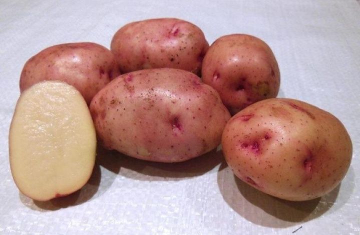 Эксперт оценил появление в российских магазинах "эконом" картошки