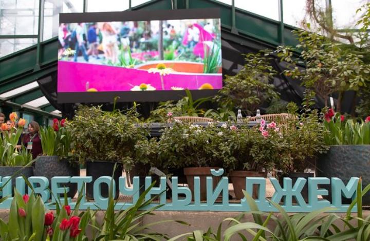 Самые модные садовые растения назовут ведущие российские и зарубежные эксперты – участники онлайн-дискуссии «Цветочного джема»