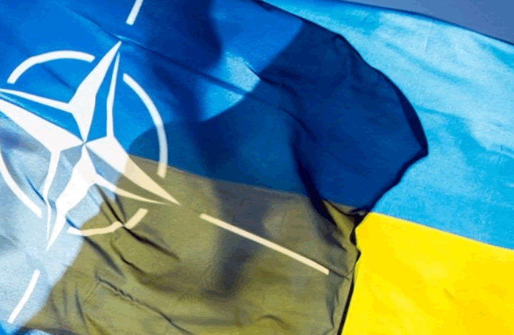 "Морковка для националистической лошади". Мнение о курсе Украины в НАТО