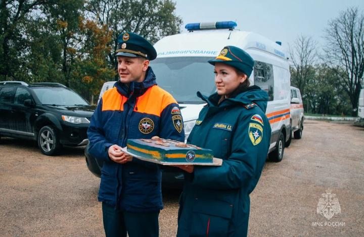 Севастопольские специалисты МЧС России выполнили годовой комплекс работ по разминированию территорий Донбасса