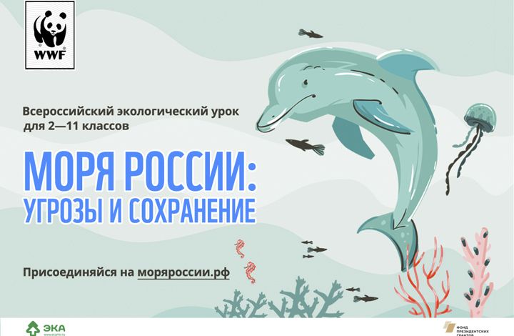 Российских учителей приглашают провести интерактивный экоурок «Моря России»