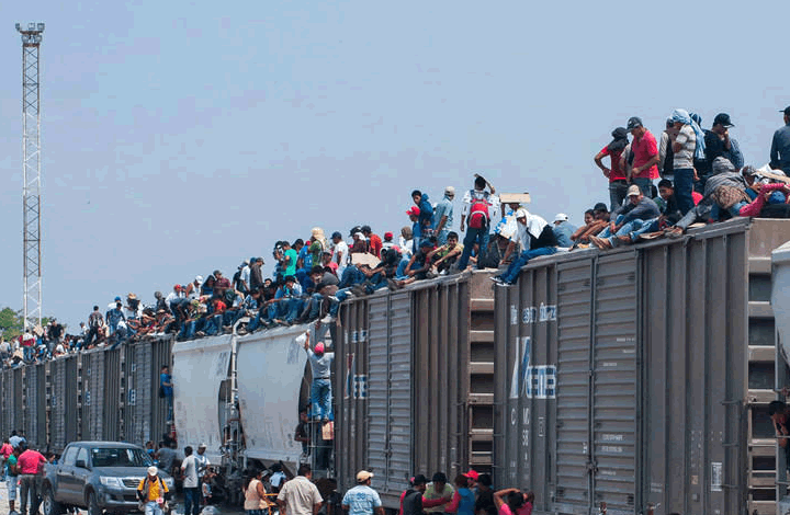 "Жестокий мир". Политолог о пошлинах США и нелегальных мигрантах из Мексики