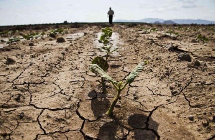 Гидролог признал бессмысленным прогноз о засухе в России