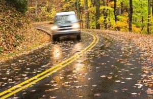 Какие факторы нужно учитывать при вождении осенью