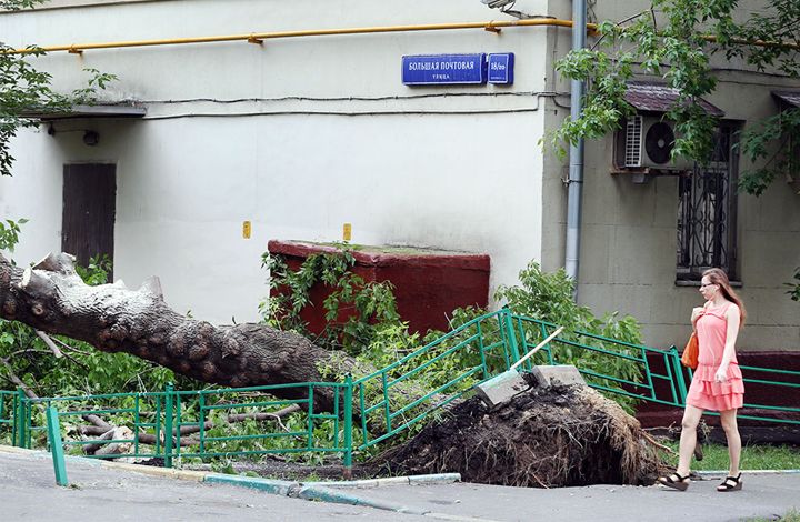 Метеоролог о грозе в Москве: нам не везет в этом году с циклонами