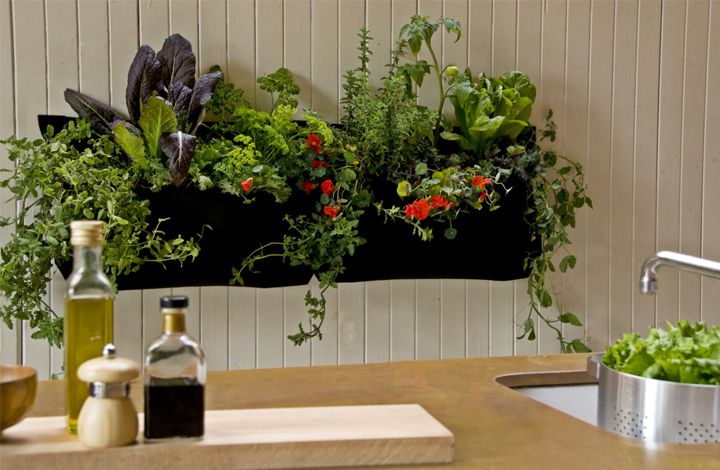 Украшаем интерьер комнатными растениями
