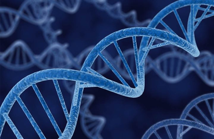 Мнение: генетическая информация – как врачебная тайна