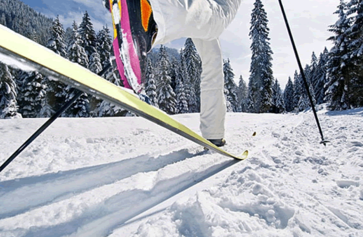 Россияне навострили лыжи: узнали, куда