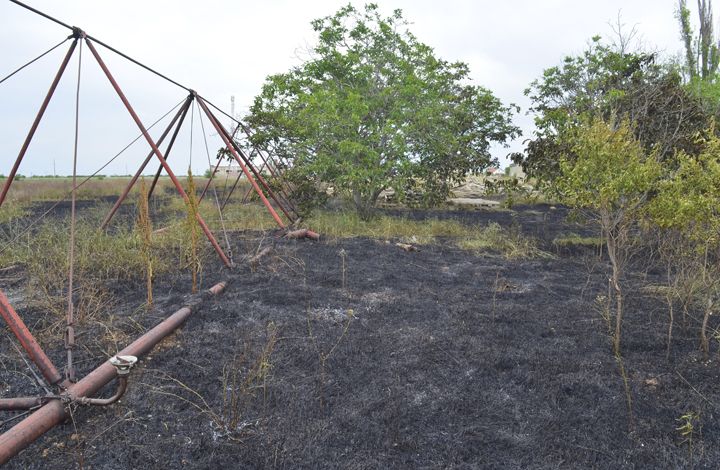 Севастопольские огнеборцы ликвидировали пожар на открытой местности площадью 3 гектара