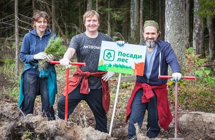 Добровольцев, восстанавливающих леса, наградят денежной премией