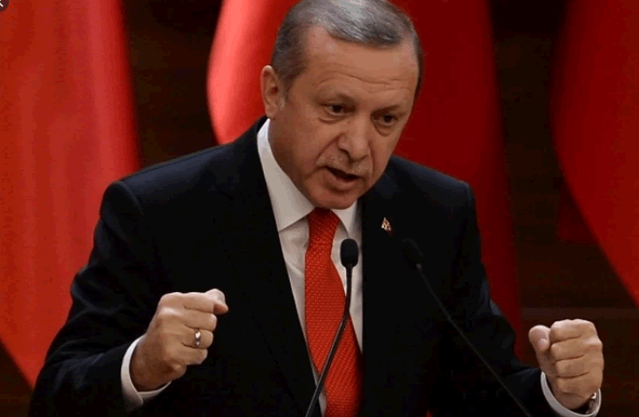 Политолог: для приезда Эрдогана в Крым есть очень хороший повод