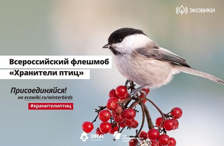 Стартовал всероссийский флешмоб “Хранители птиц”