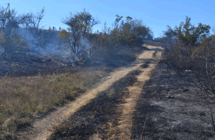 Севастопольские огнеборцы ликвидировали за день два крупных природных пожара
