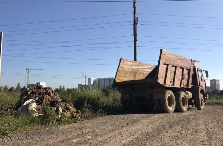 В городском округе Домодедово штрафуют за сброс мусора в несанкционированных местах