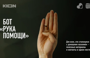 В России запустился чат-бот «Рука помощи» для борьбы с домашним насилием