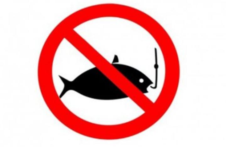 Названы последствия запрета рыбалки из-за коронавируса