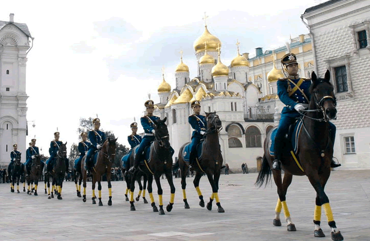 Лошади на службе российской армии