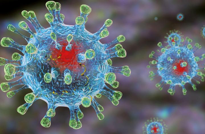 Врачи могут начинать лечение коронавируса до результатов тестирования