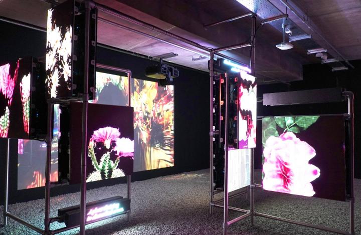 LG представит арт-проекты по всему Лондону, вдохновленные OLED