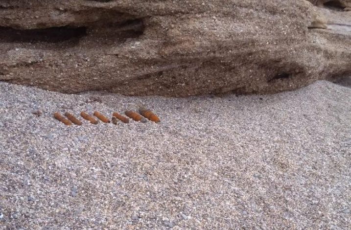 Взрывоопасные предметы, обнаруженные на пляже в Каче, обезврежены севастопольскими пиротехниками
