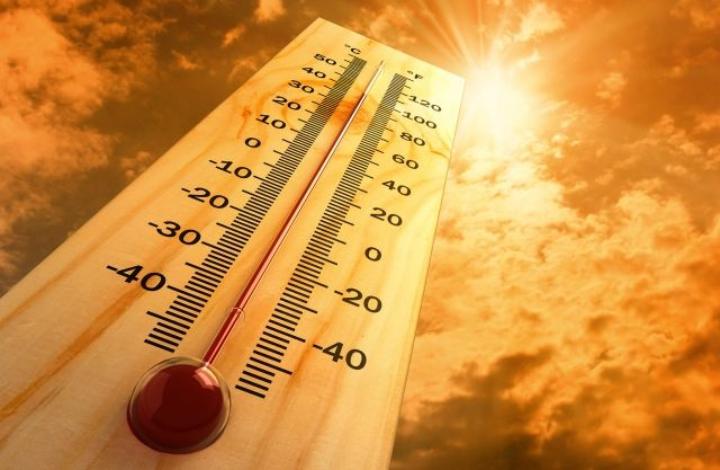 2020 год может стать самым теплым в истории России