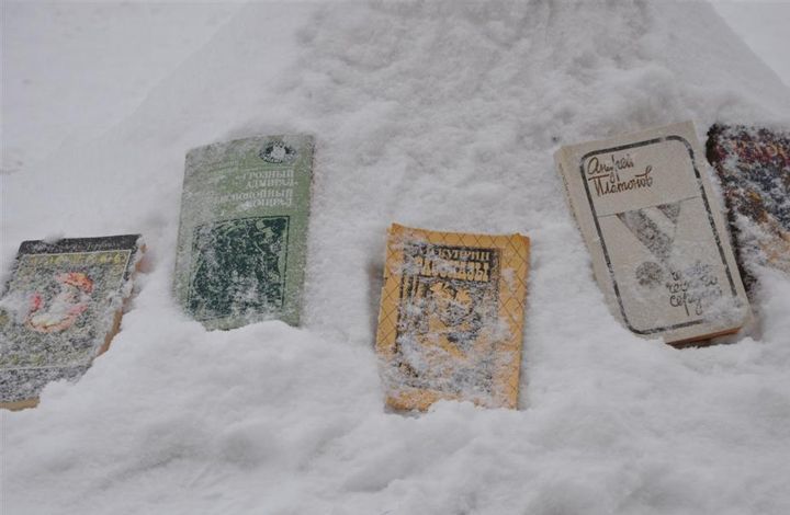 В ОП РФ возмущены ситуацией в Уфе с выброшенными  в снег книгами