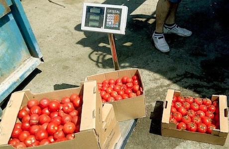 Санкционные турецкие помидоры завезли в Севастополь