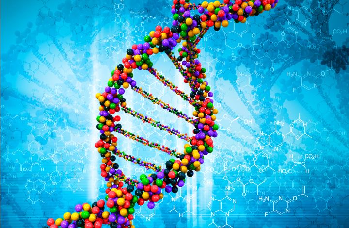 Тема наследования генов становится все более интересной ученым