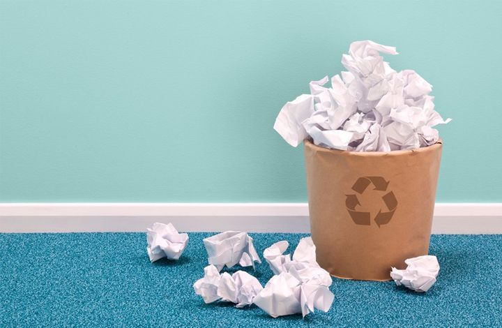 Эколог: в нашей стране необходимо «стимулирование раздельного собирания мусора»