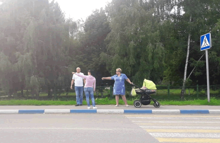 Активисты ОНФ провели мониторинг безопасности дорожного движения возле школ в районах Подмосковья