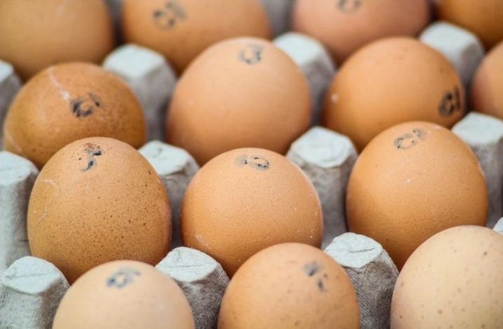 Найдена замена куриным яйцам