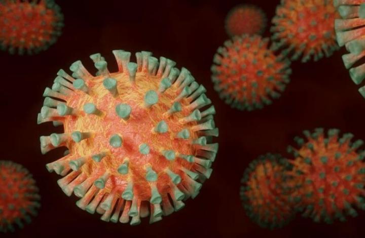 Ученый развеял прогноз по коронавирусу в Москве и Санкт-Петербурге