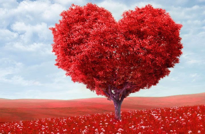 14 февраля во многих странах мира отмечают День святого Валентина