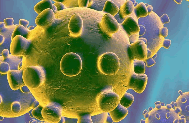 Эксперт по биобезопасности предположил источник нового вируса в Китае